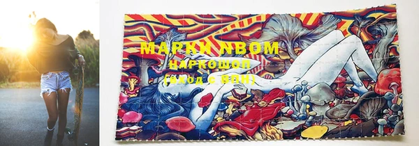 ECSTASY Ладушкин