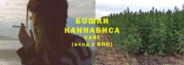 ECSTASY Ладушкин