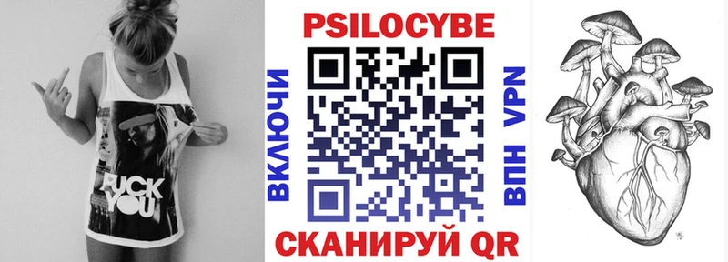 Купить  Новая Усмань  Псилоцибиновые грибы Cubensis 